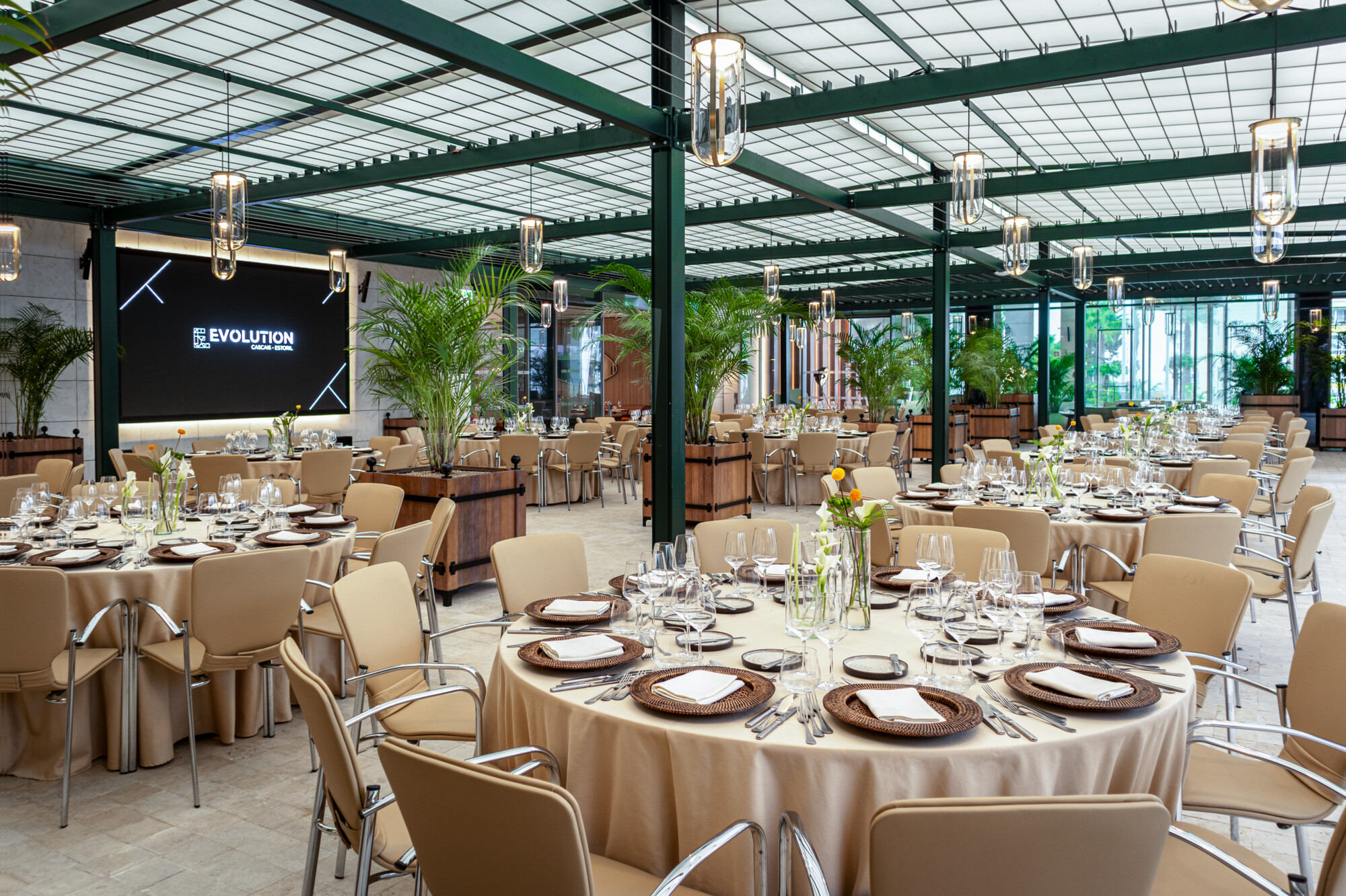 The Patio