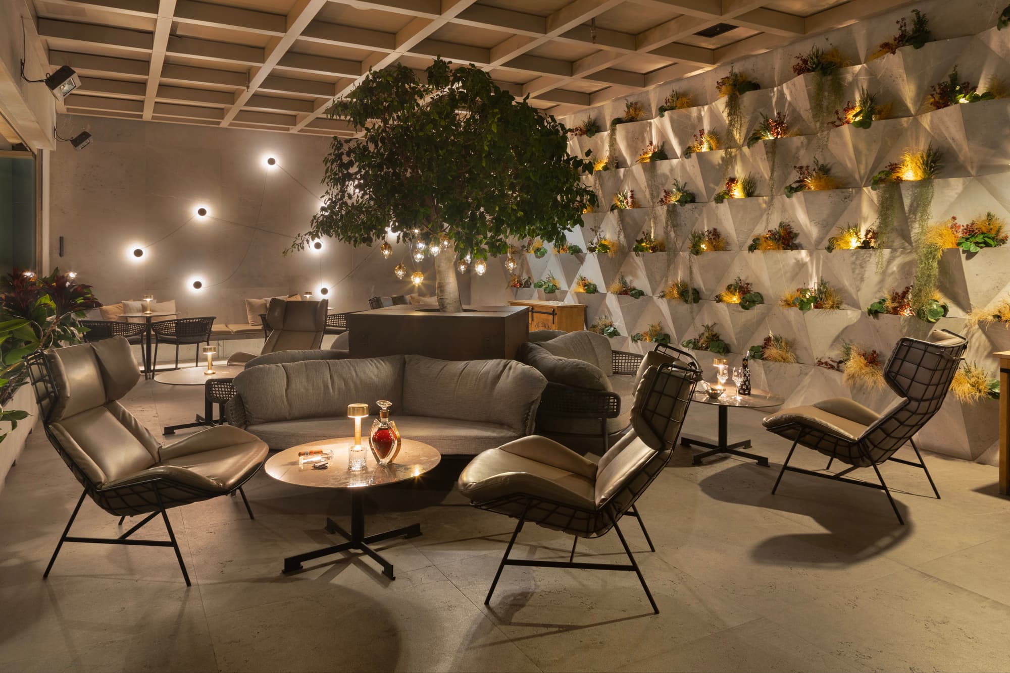 Epicsanamarques Wintergarden