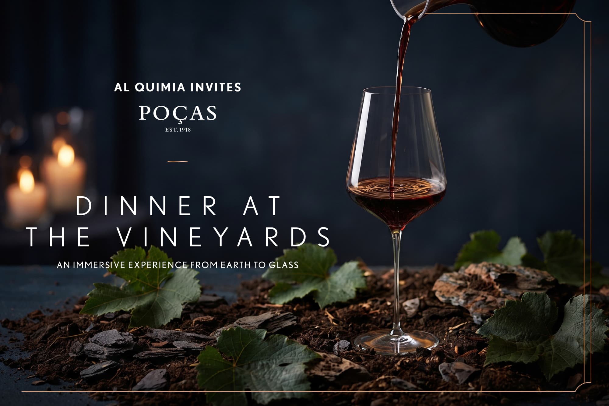 Dinner At The Vineyards 1
