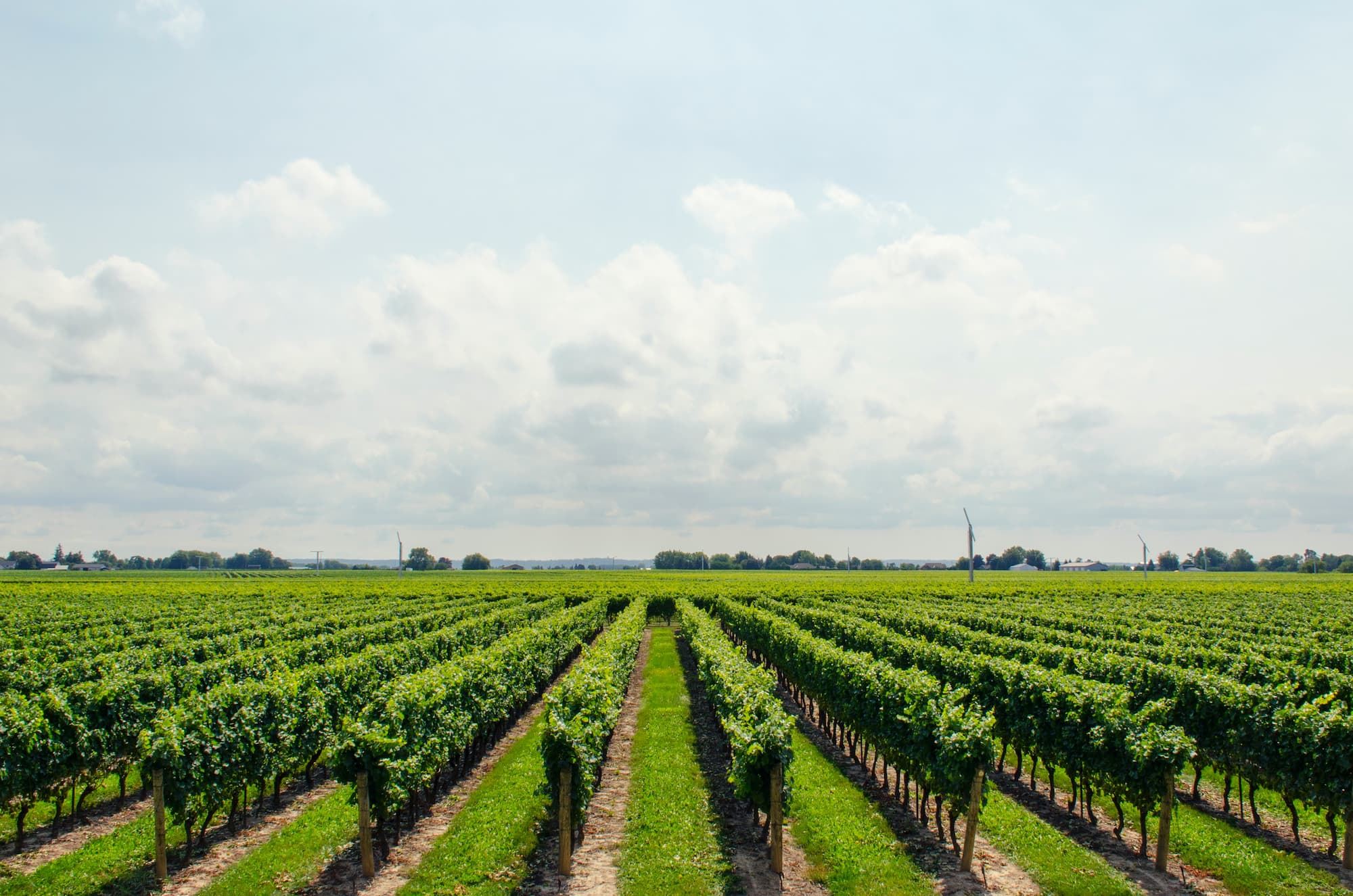 José Maria da Fonseca Winery