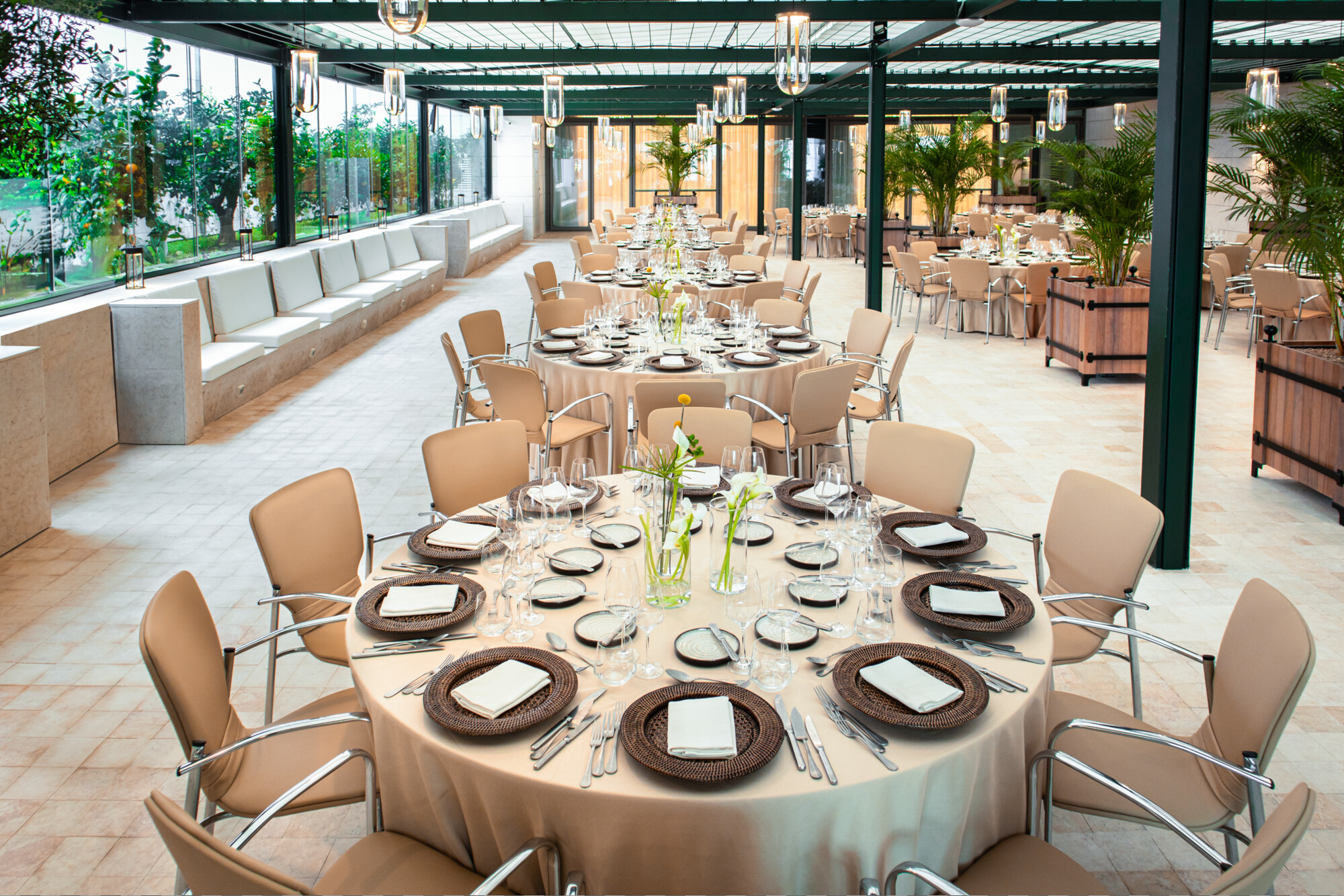 The Patio