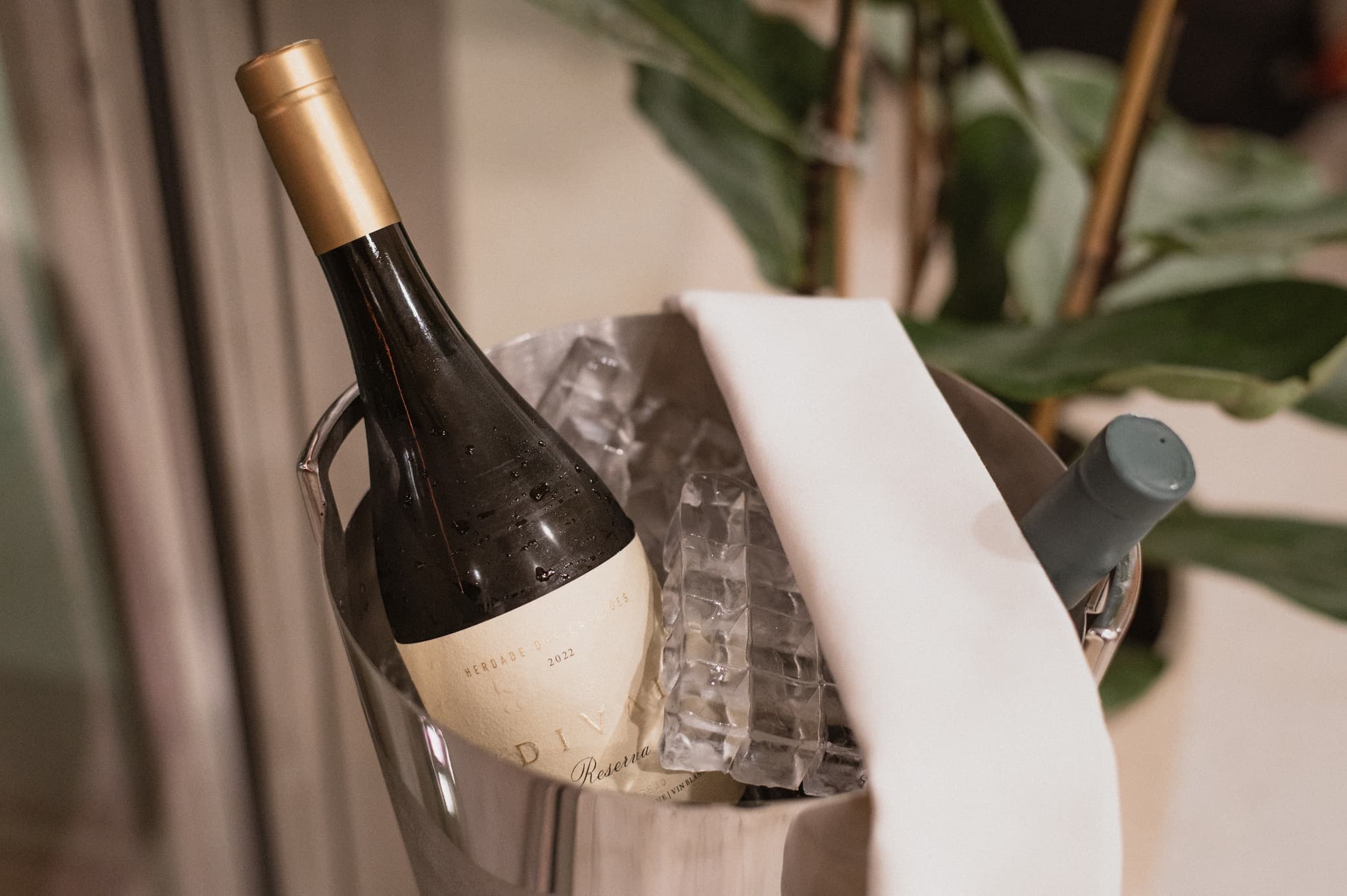 Hotel Tarjeta De Regalo