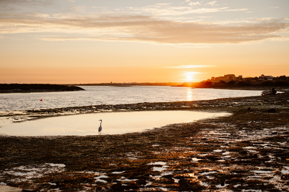 Epic Sana Algarve Ria Formosa