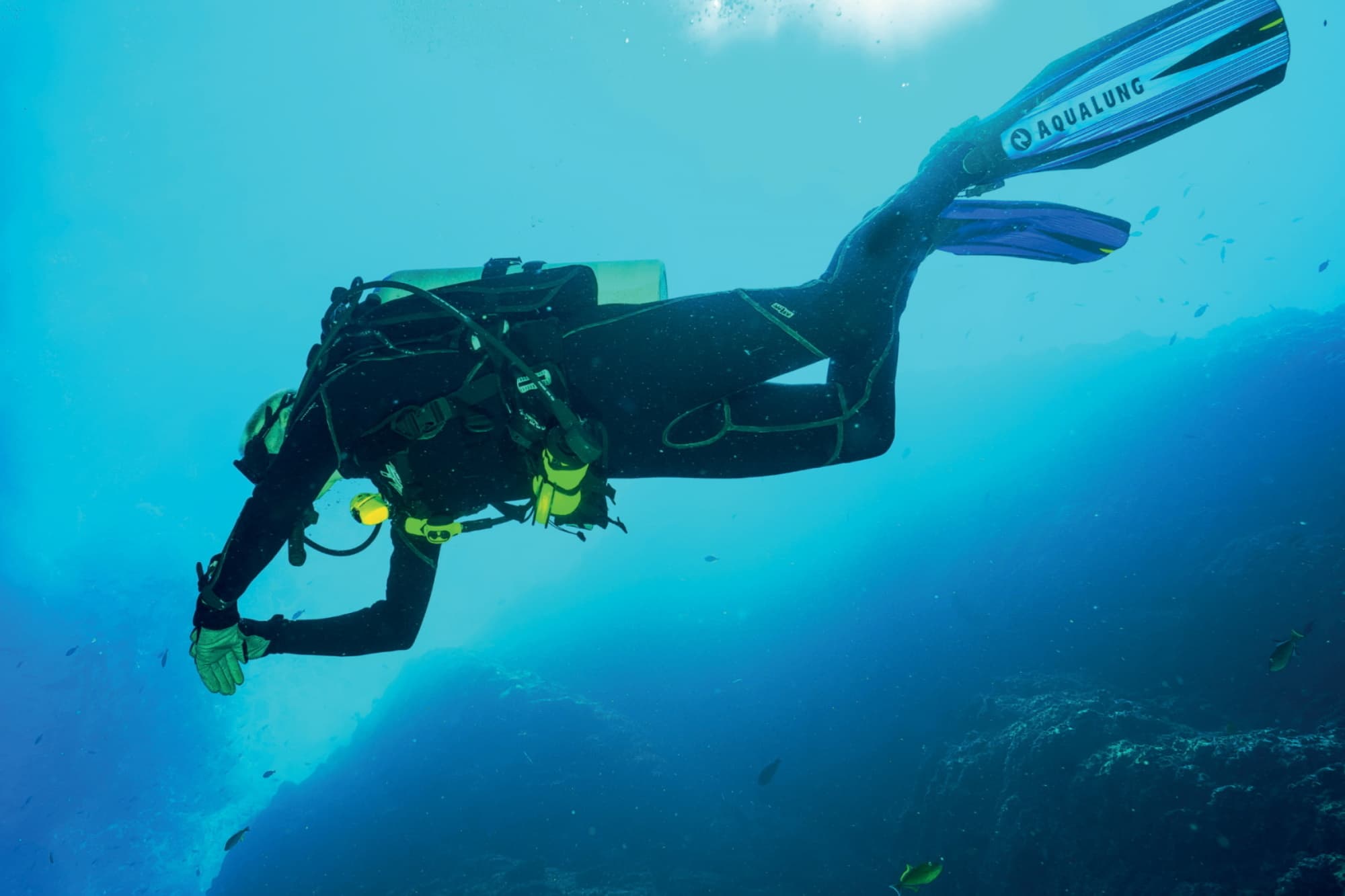 Plongez dans la Nature